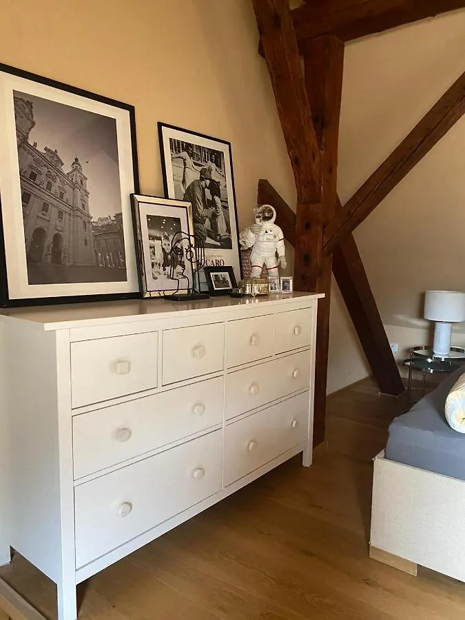 Altbauwohnung Mit Fachwerk Anif Apartment